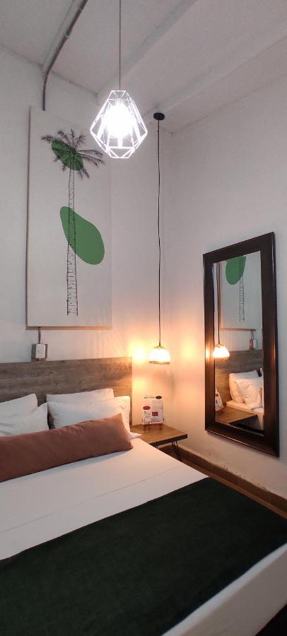 Botanica Casa Hotel 메딜린 외부 사진